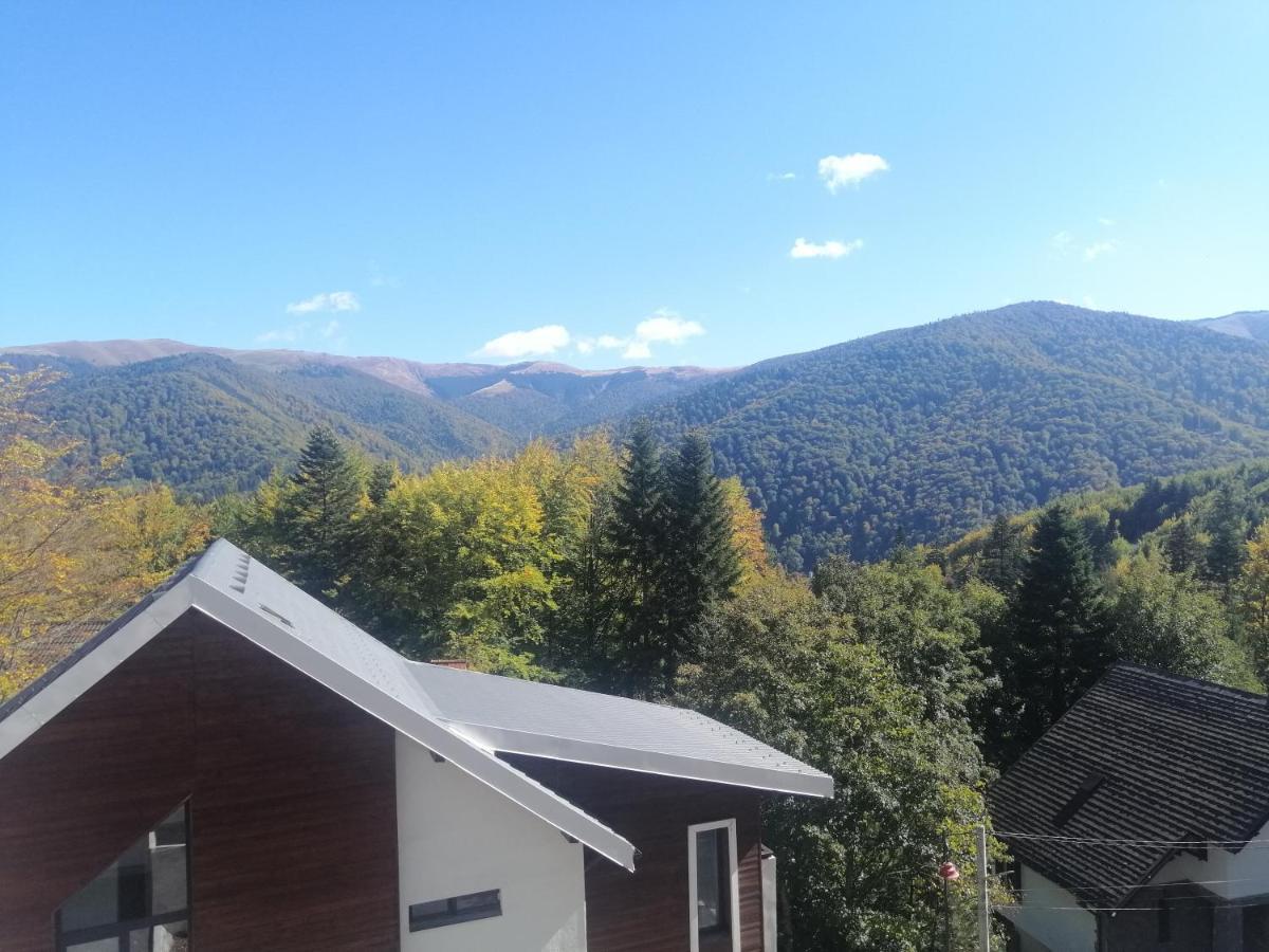 The Rock Apartment Sinaia Exterior photo