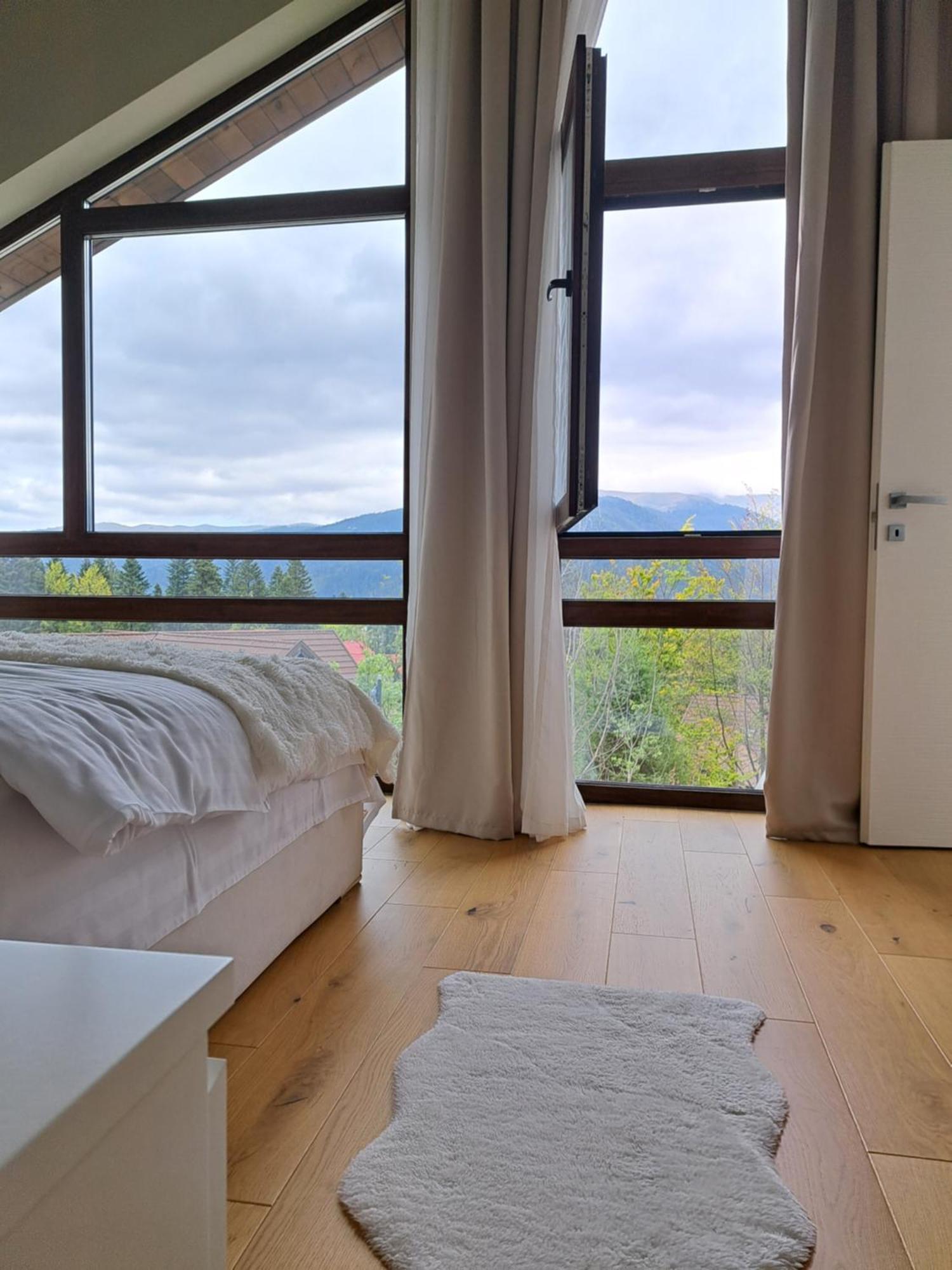 The Rock Apartment Sinaia Exterior photo